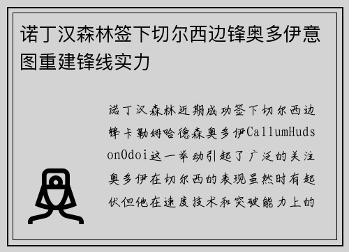 诺丁汉森林签下切尔西边锋奥多伊意图重建锋线实力 诺丁汉森林签下切尔西边锋奥多伊意图重建锋线实力